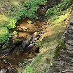 Villa Gillausklause - Eine Insel Im Wald - Waldviertel