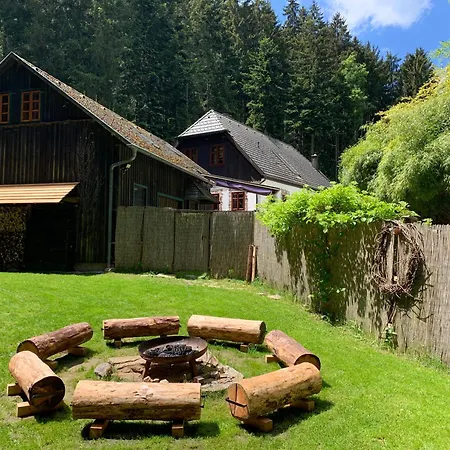 Gillausklause - Eine Insel Im Wald - Waldviertel Villa *