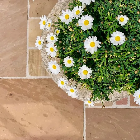 Villa Gillausklause - Eine Insel Im Wald - Waldviertel *