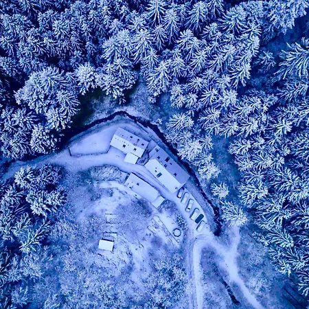 Gillausklause - Eine Insel Im Wald - Waldviertel Villa *