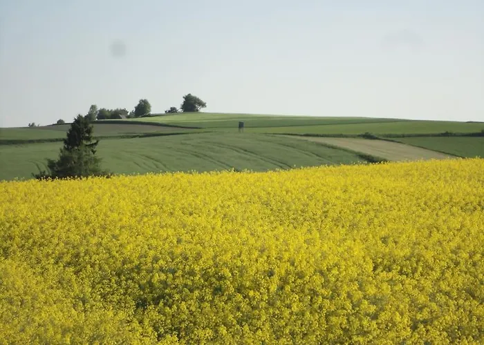 Villa Gillausklause - Eine Insel Im Wald - Waldviertel