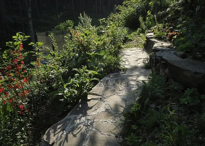 Villa Gillausklause - Eine Insel Im Wald - Waldviertel