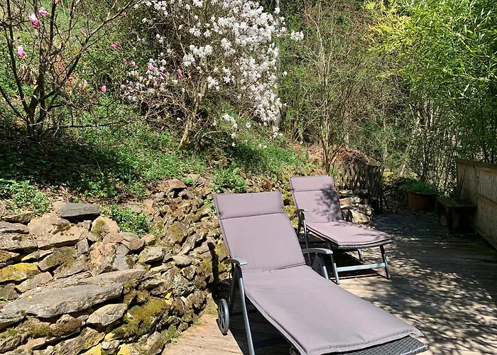 Gillausklause - Eine Insel Im Wald - Waldviertel Villa *