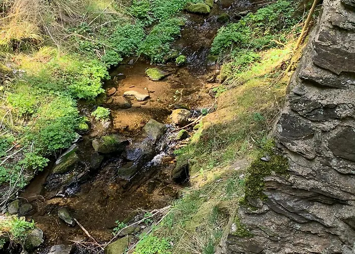 Villa Gillausklause - Eine Insel Im Wald - Waldviertel