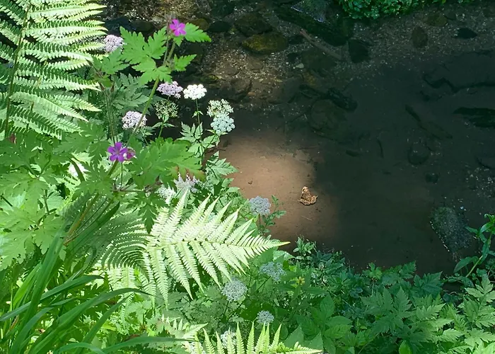 Gillausklause - Eine Insel Im Wald - Waldviertel Villa *