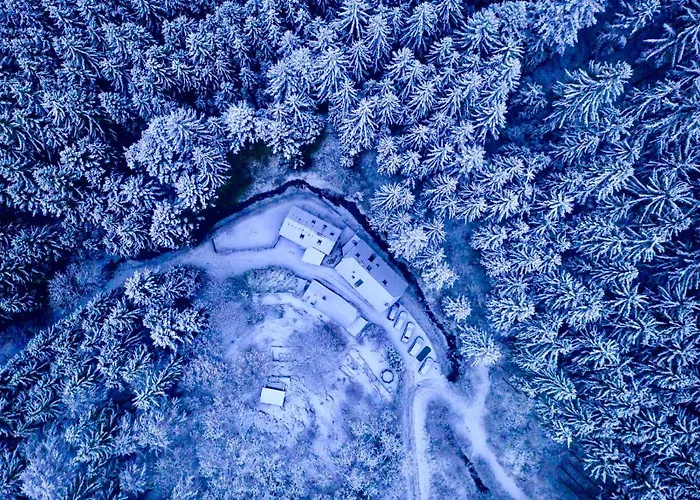 Gillausklause - Eine Insel Im Wald - Waldviertel Villa *